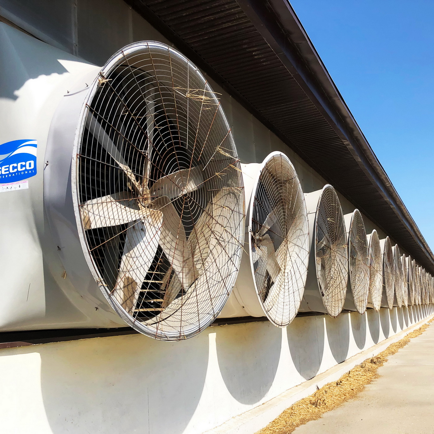 Wall Fans